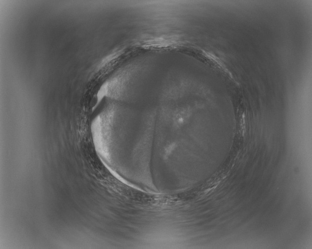 X0000051241350200507082113