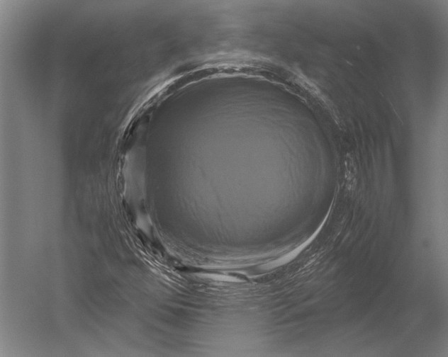 X0000051241352200507082113