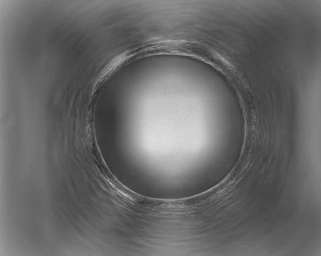 X0000051241354200507082113