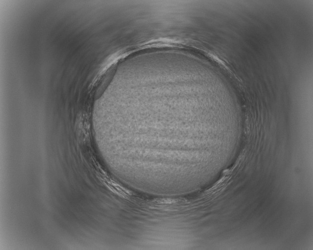 X0000051241355200507082113