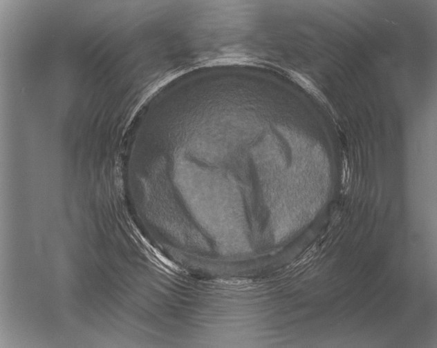 X0000051241356200507082113