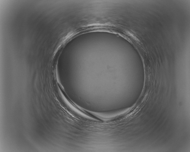 X0000051241357200507082113