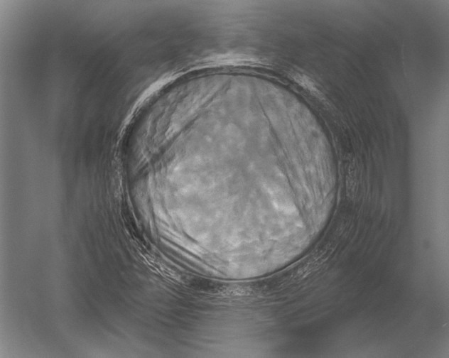 X0000051241358200507082113