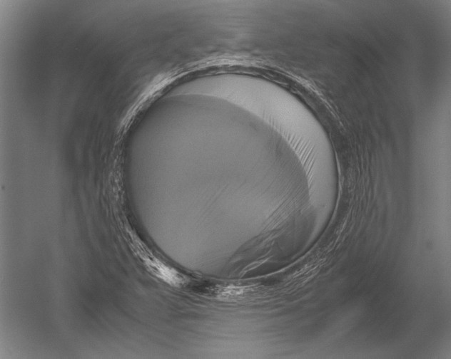 X0000051241359200507082113