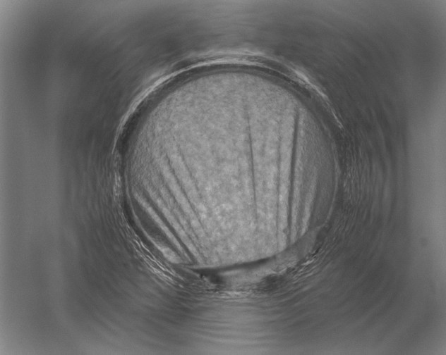 X0000051241360200507082113