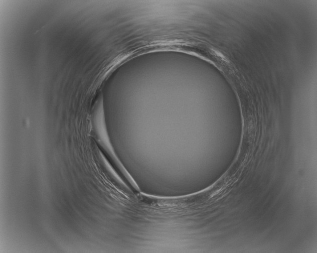 X0000051241361200507082113