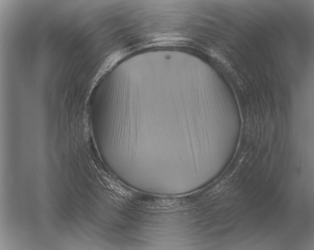 X0000051241362200507082113