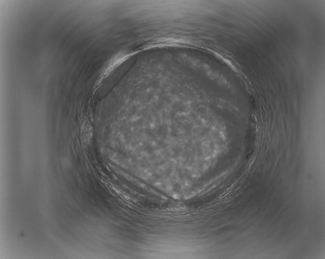 X0000051241363200507082113