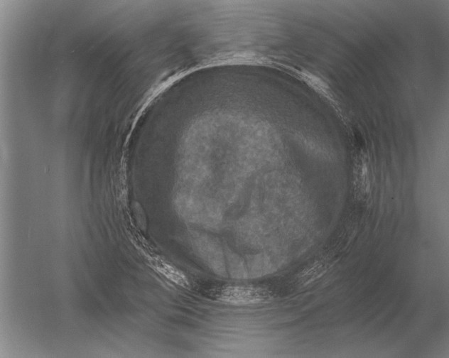 X0000051241364200507082113