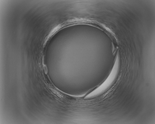 X0000051241365200507082113