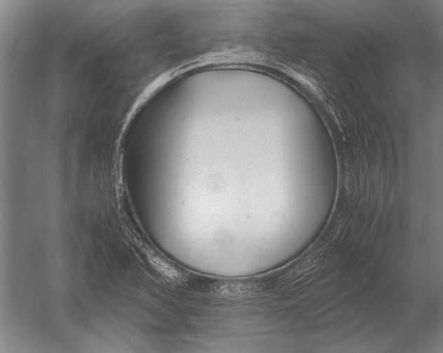 X0000051241366200507082113