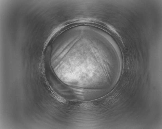 X0000051241368200507082113