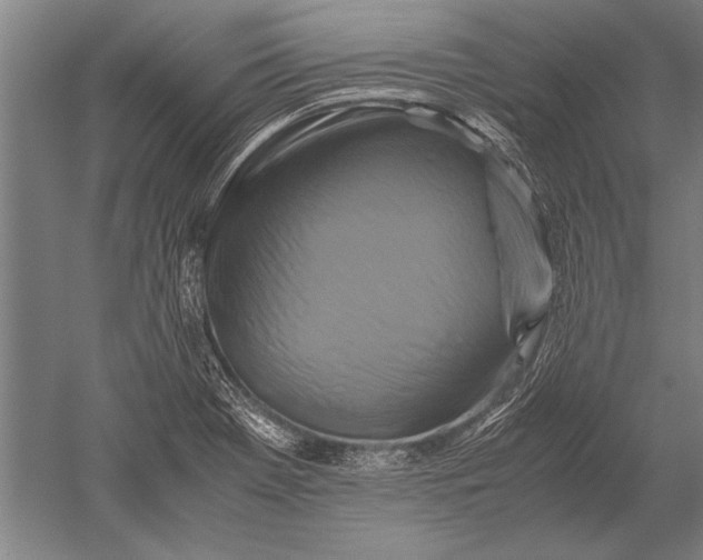 X0000051241369200507082113