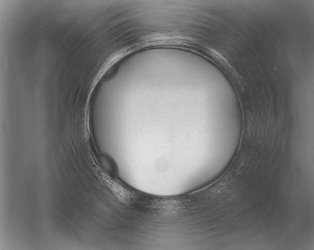 X0000051241370200507082113