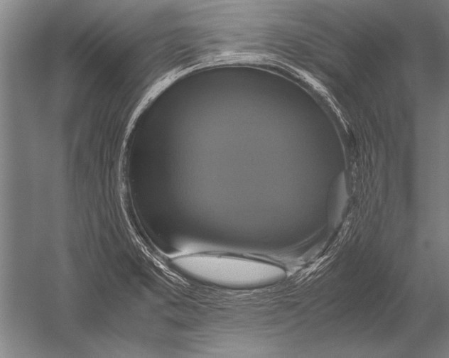 X0000051241373200507082113