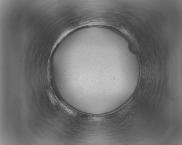 X0000051241374200507082113