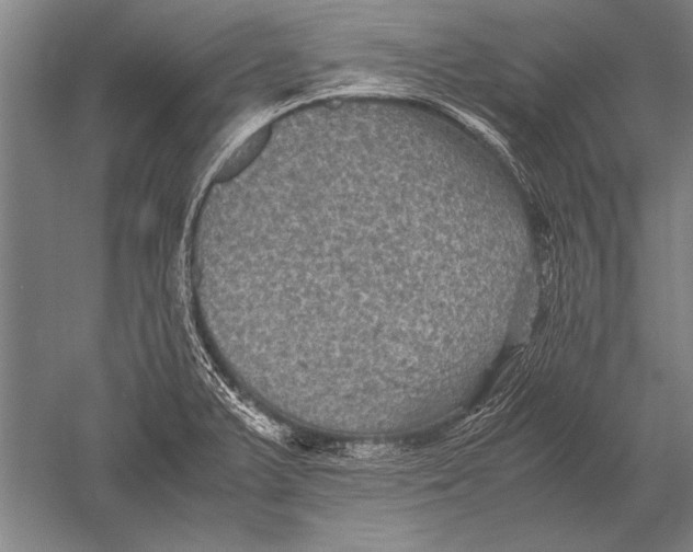 X0000051241375200507082113