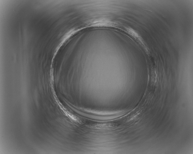 X0000051241376200507082113