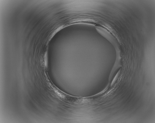 X0000051241377200507082113