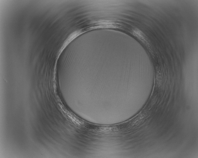 X0000051241378200507082113