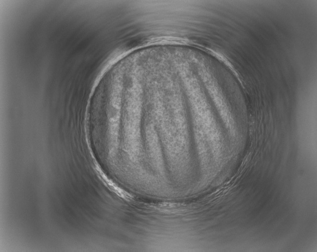 X0000051241379200507082113