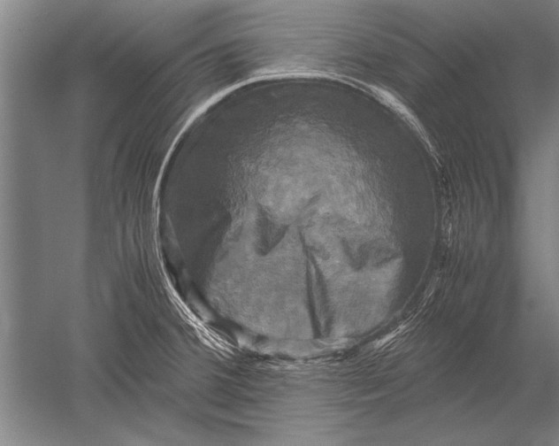 X0000051241380200507082113