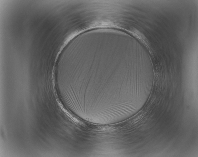 X0000051241382200507082113