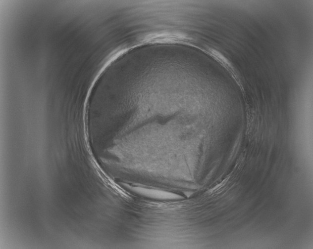 X0000051241384200507082113