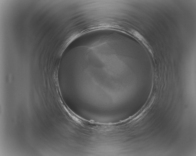 X0000051241385200507082113