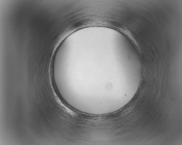 X0000051241387200507082113