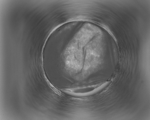 X0000051241388200507082113