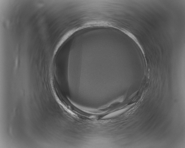 X0000051241389200507082112