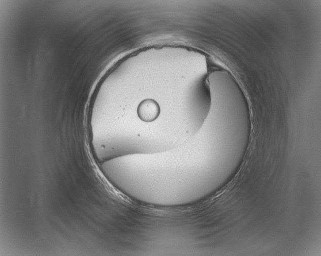 X0000051241392200507082112