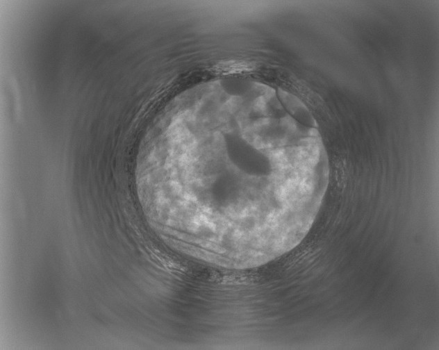 X0000051241393200507082112