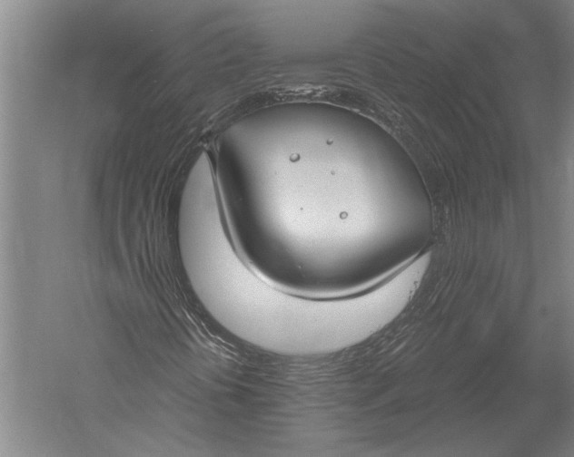 X0000051241394200507082112