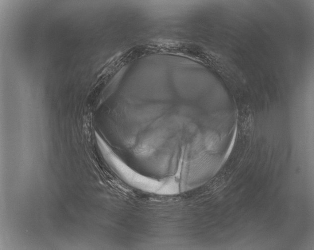 X0000051241397200507082112