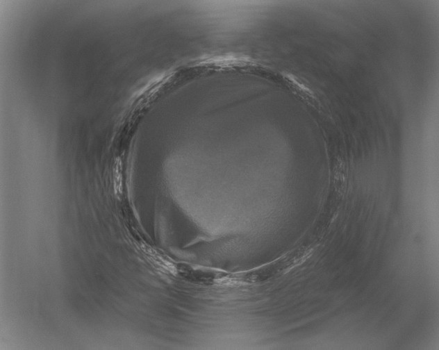 X0000051241398200507082112