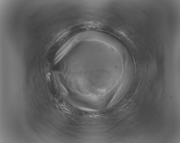 X0000051241399200507082112