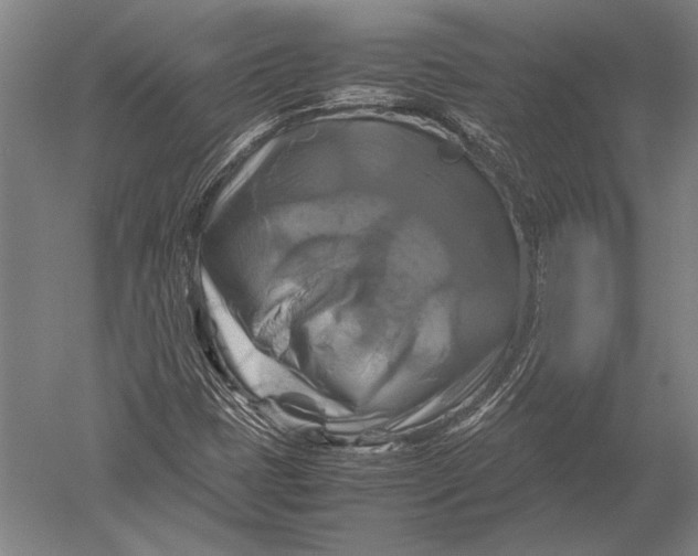 X0000051241401200507082112