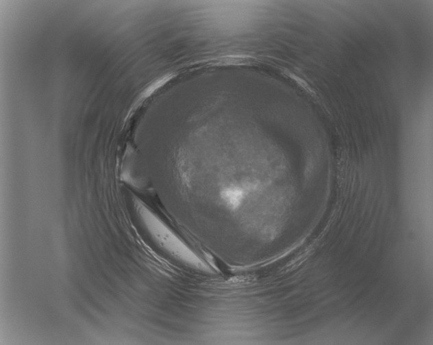 X0000051241402200507082112