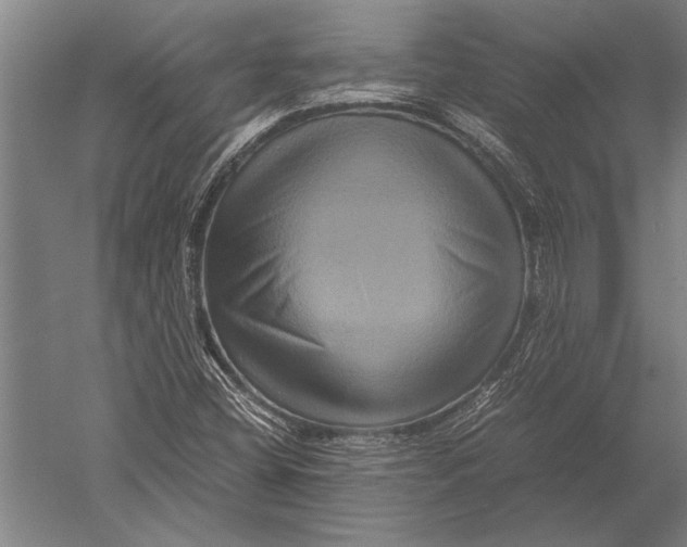 X0000051241404200507082112