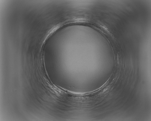 X0000051241405200507082112