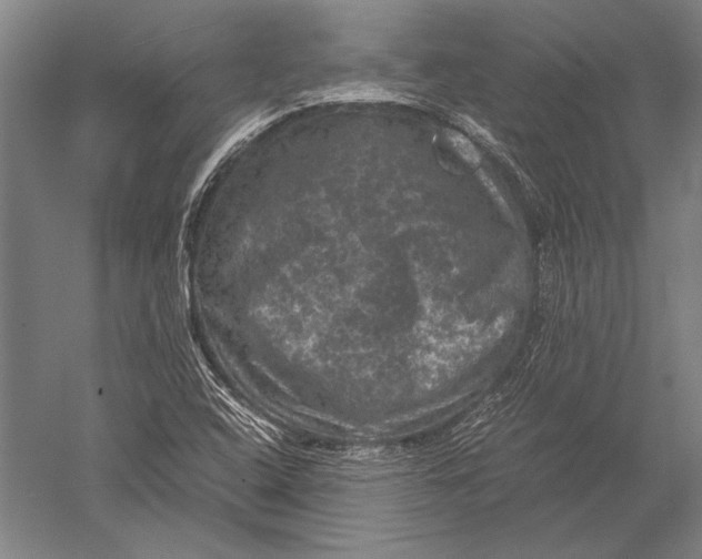 X0000051241408200507082112