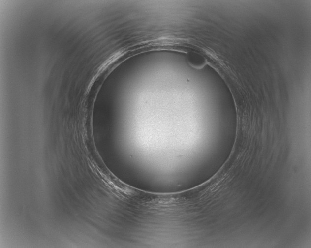 X0000051241410200507082112