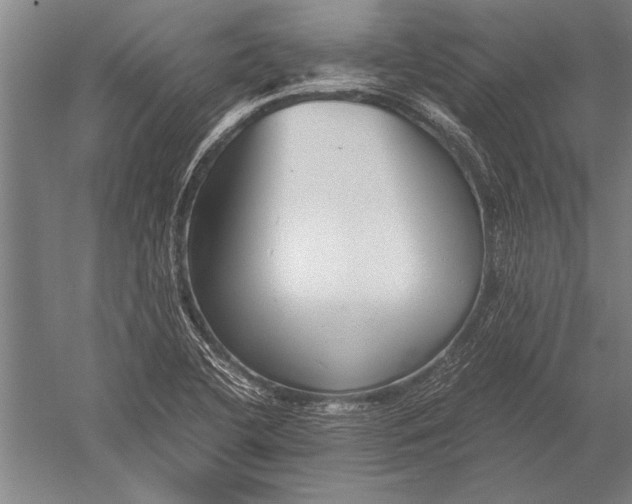 X0000051241412200507082112