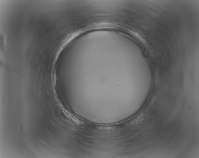 X0000051241413200507082112