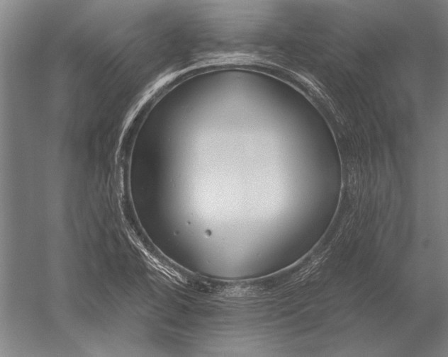 X0000051241414200507082112