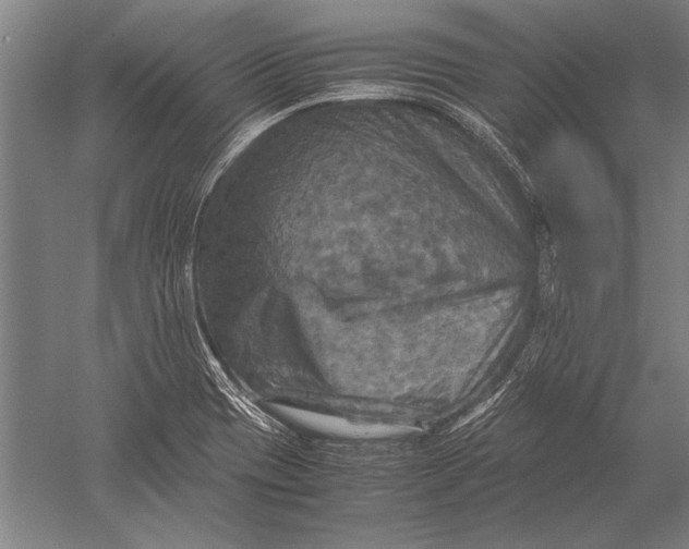 X0000051241417200507082112