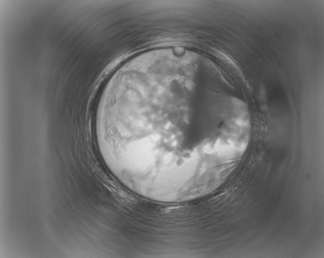 X0000051241419200507082112