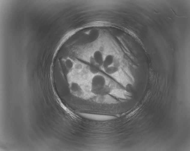 X0000051241421200507082112